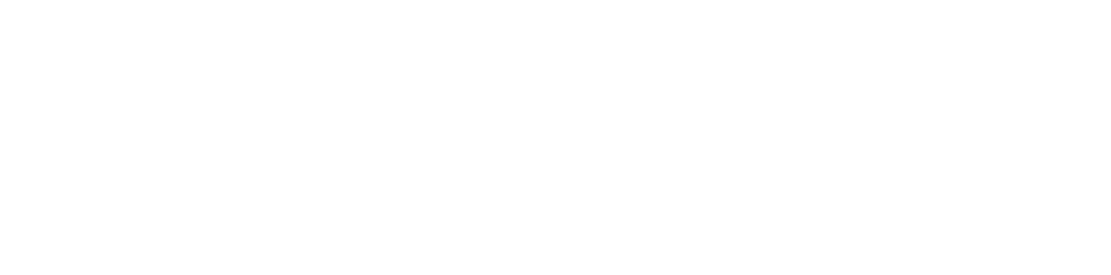 lifestyle.zdevs.io